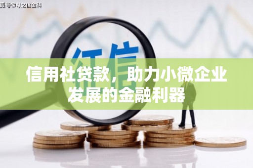 水磨沟信用社贷款，助力小微企业发展的金融利器