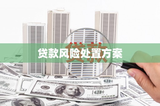 水磨沟贷款风险处置方案