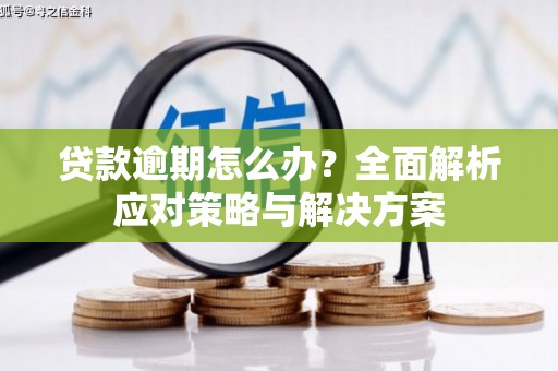 水磨沟贷款逾期怎么办？全面解析应对策略与解决方案