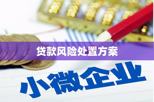 水磨沟贷款风险处置方案