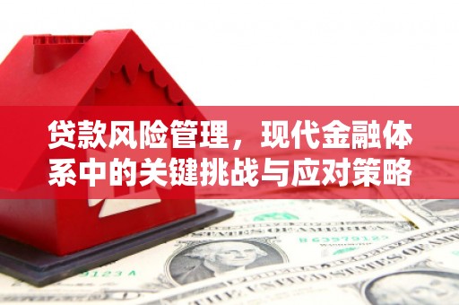 水磨沟贷款风险管理，现代金融体系中的关键挑战与应对策略