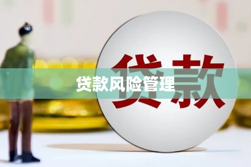 水磨沟贷款风险管理