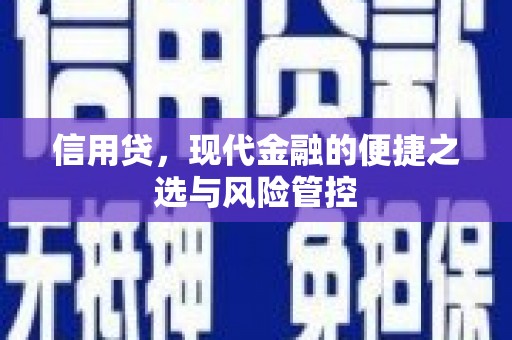 水磨沟信用贷，现代金融的便捷之选与风险管控