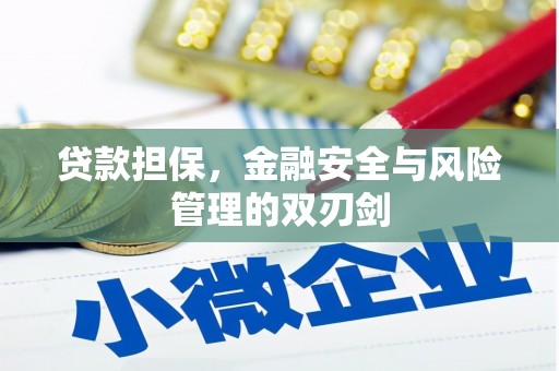 水磨沟贷款担保，金融安全与风险管理的双刃剑
