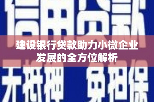 水磨沟建设银行贷款助力小微企业发展的全方位解析