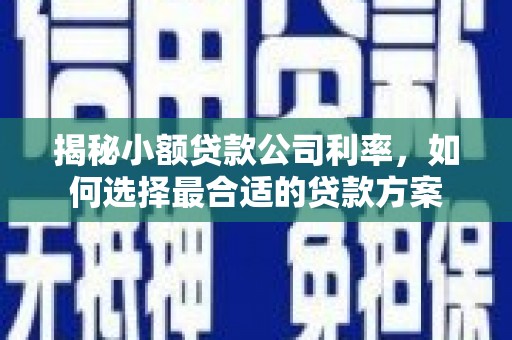 水磨沟揭秘小额贷款公司利率，如何选择最合适的贷款方案