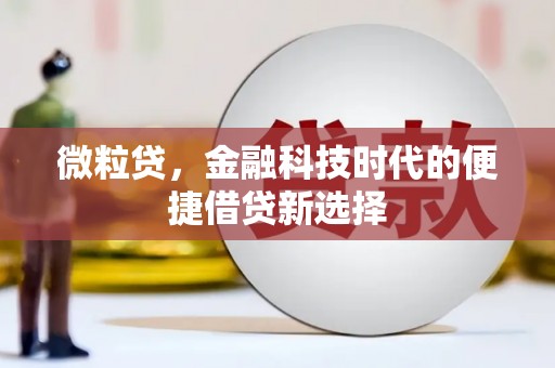 水磨沟微粒贷，金融科技时代的便捷借贷新选择
