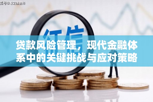 水磨沟贷款风险管理，现代金融体系中的关键挑战与应对策略