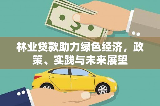 水磨沟林业贷款助力绿色经济，政策、实践与未来展望